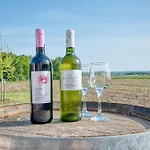 Le Refuge Des Vignes