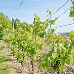 Le Refuge Des Vignes Lamonzie-Saint-Martin