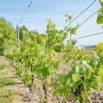 Le Refuge Des Vignes Lamonzie-Saint-Martin