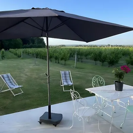 Le Refuge Des Vignes