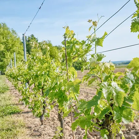Le Refuge Des Vignes Lamonzie-Saint-Martin