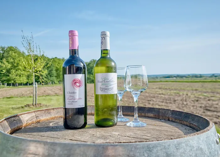 Le Refuge Des Vignes